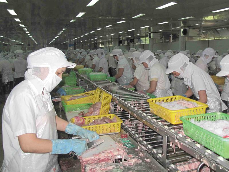 Doanh nghiệp tại an giang, tổng quan, danh sách và cơ hội Đầu tư