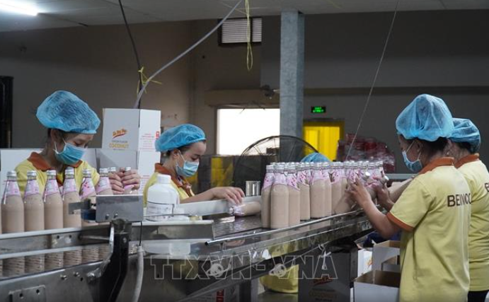 Doanh nghiệp tại bến tre: tổng quan, thống kê và phân tích mới nhất