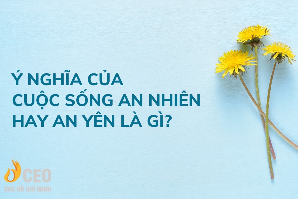 Yên, Ý nghĩa và các Ứng dụng trong tiếng việt và các ngữ cảnh khác